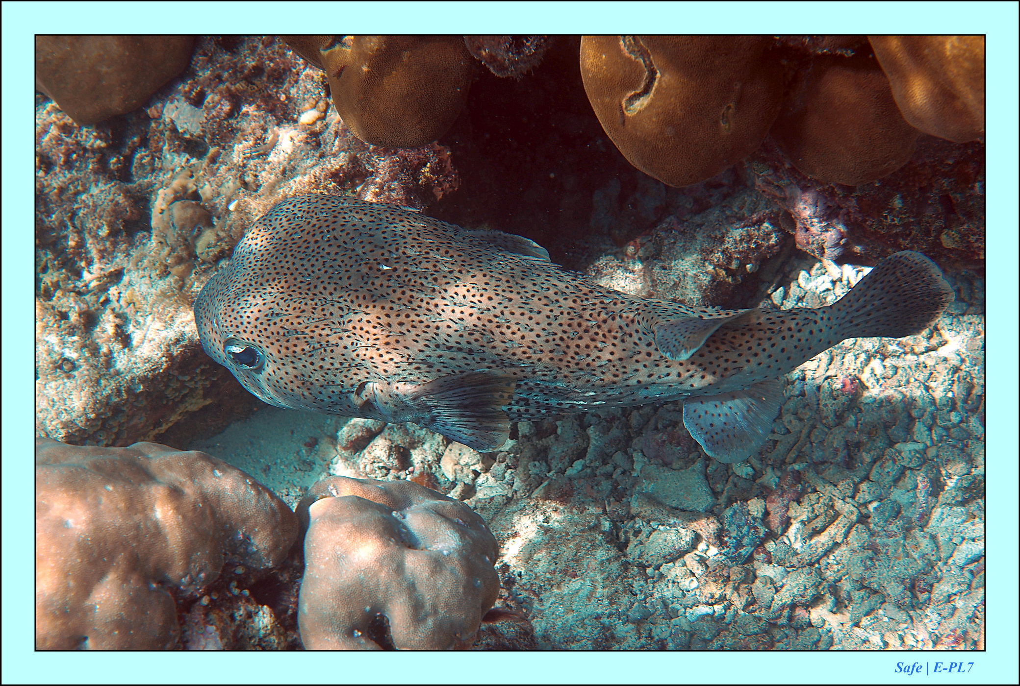 2023 - 07 - Sandies Bathala - 197